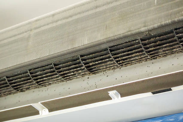 Best Emergency Air Duct Cleaning  in Granite City, IL